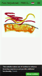 Mobile Screenshot of heijnsbroek.exto.org